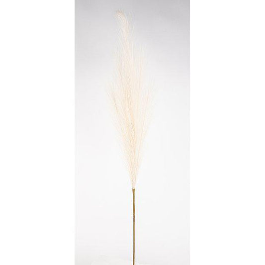 Pampagräs 90cm