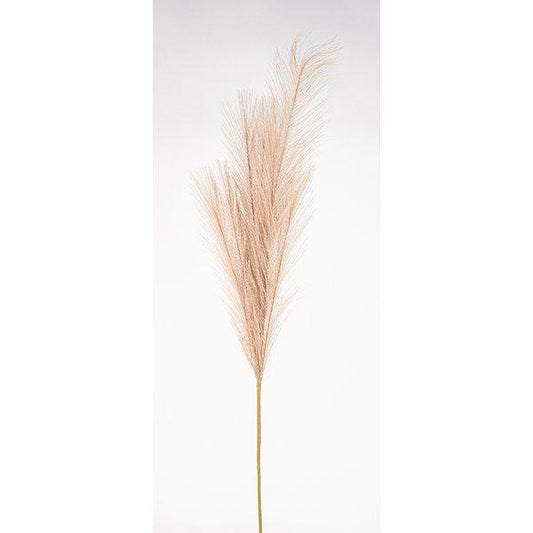 Pampagräs 90cm