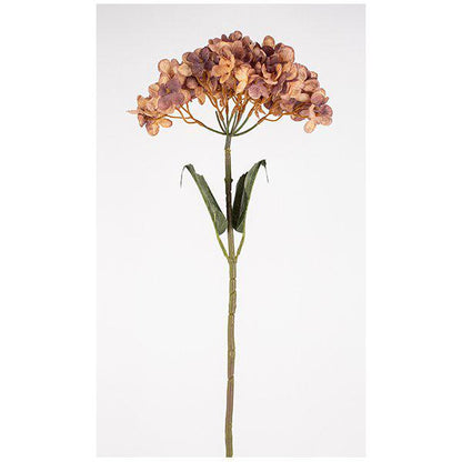 Hortensia 65 cm