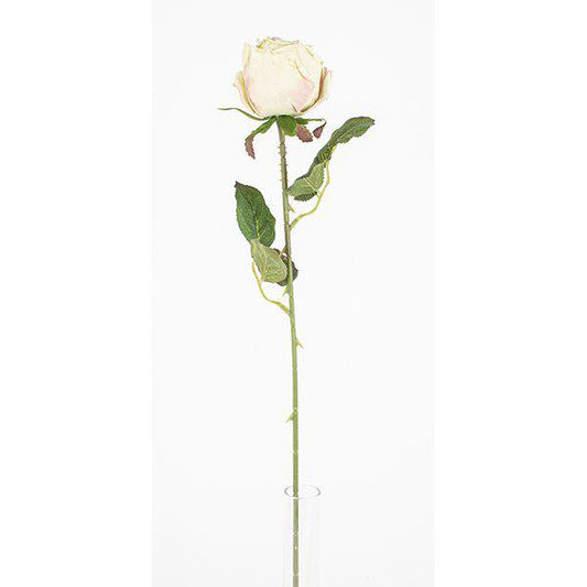 Ros 44cm