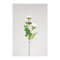 RANUNCULUS 54cm