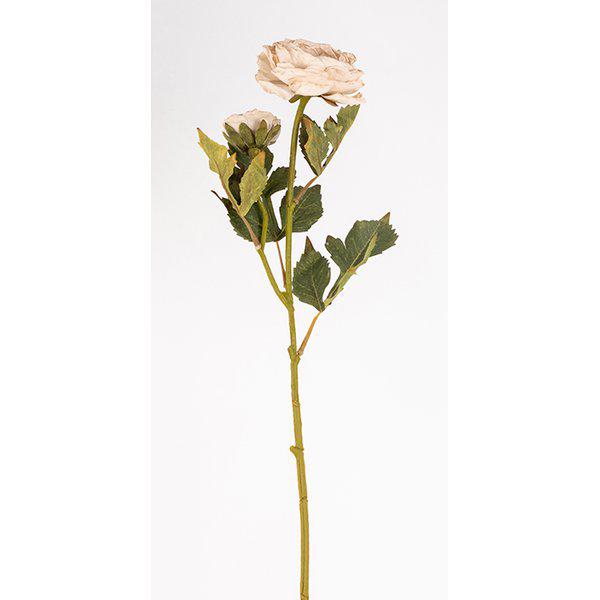 RANUNCULUS 56cm