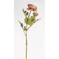 RANUNCULUS 56cm