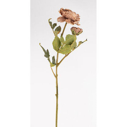 RANUNCULUS 56cm