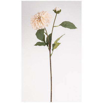 DAHLIA Pompon 62cm