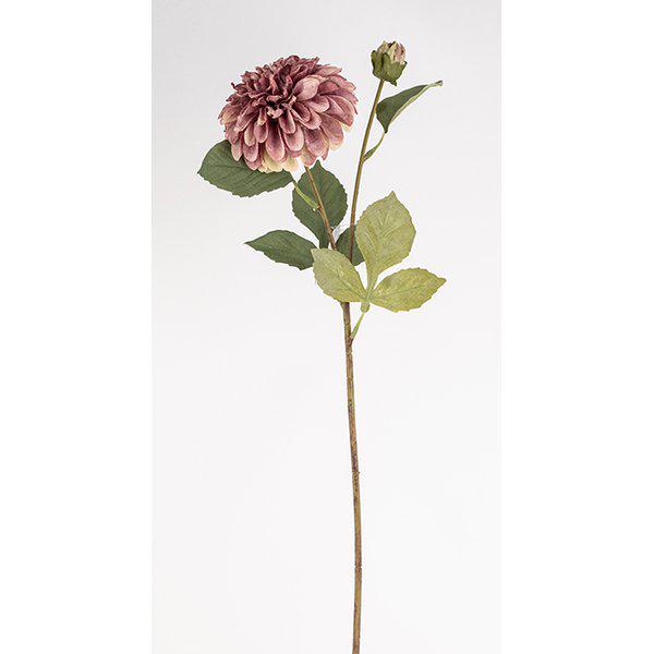 DAHLIA Pompon 62cm