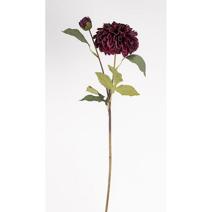 DAHLIA Pompon 62cm