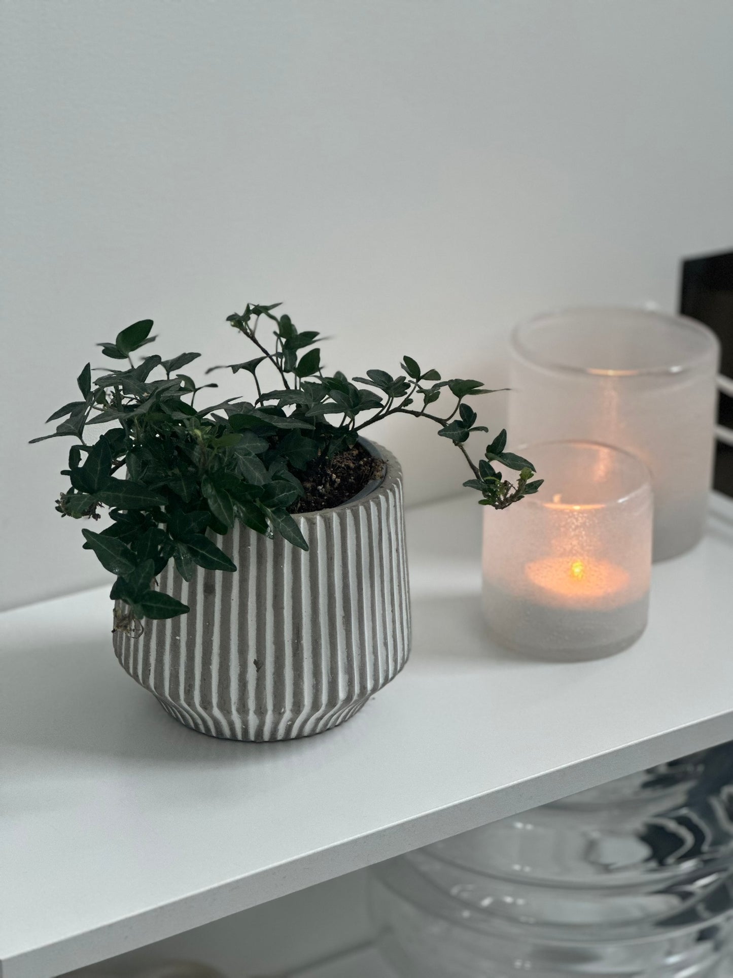 FROSTIG Ljuslykta Ø12cm